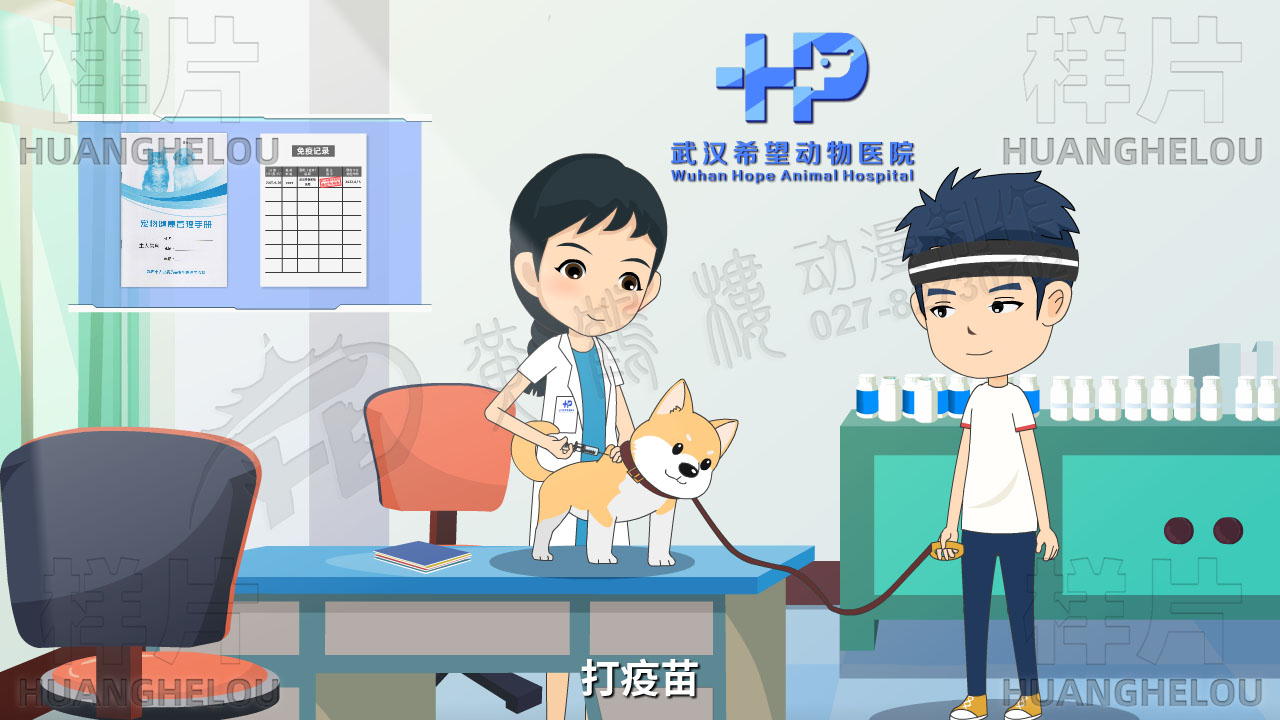 科学文明养犬动画宣传片10.jpg